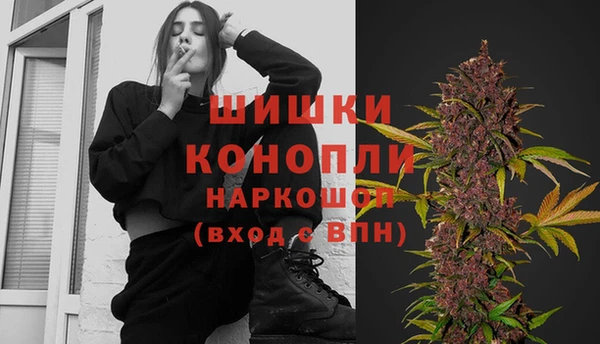 СК Горнозаводск
