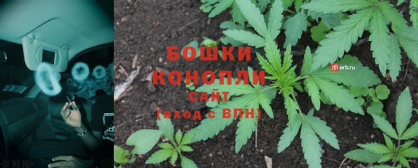 СК Горнозаводск