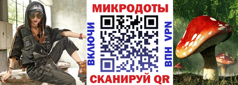 Купить где  Псков  Псилоцибиновые грибы GOLDEN TEACHER 