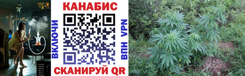 Купить где  Псков  Конопля конопля 